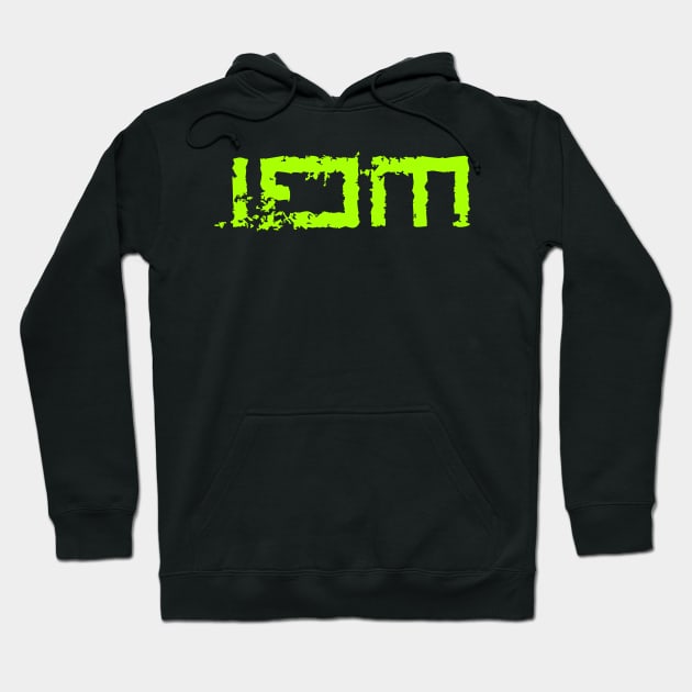 IDM Hoodie by Erena Samohai